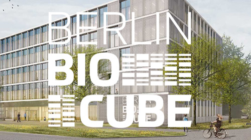 Modellansicht des Gründerzentrums BerlinBioCube